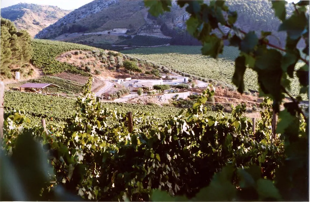 Vakantieboerderij Agriturismo Tenute Pispisa Segesta Calatafimi