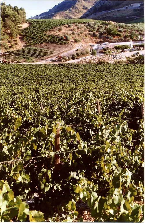 Agriturismo Tenute Pispisa Segesta Calatafimi 0*,