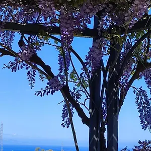 Casa Del Poggio Barone - Limone Hébergement de vacances
